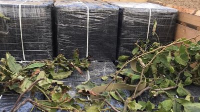 Перегони з прикордонниками: закарпатця, який намагався на тракторі премістити до ЄС більше 20 тисяч сигарет судитимуть Перегони з прикордонниками: закарпатця, який намагався на тракторі премістити до ЄС більше 20 тисяч сигарет судитимуть