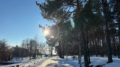 Житомир, погода, парк, природа, лютий 2026 року