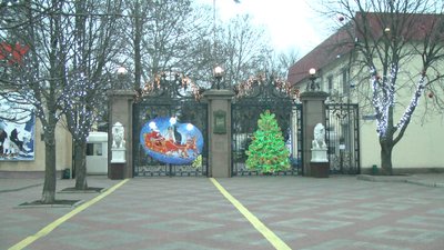 Миколаївський зоопарк приймає ялини та сосни