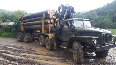 Чотири вантажівки з деревом без документів затримали закарпатські поліцейські протягом тижня