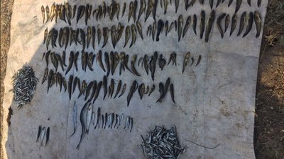 Наловив риби на 29 тисяч: на Херсонщині затримали браконьєра