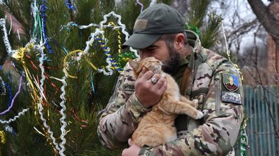 ЗСУ, військовослужбовець, армія, вторгення РФ в Україну, котик