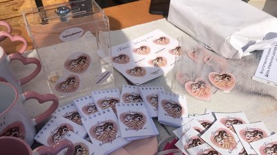 Лекції, майстер-класи та концерт: як відзначили День захисту тварин в Одесі Лекції, майстер-класи та концерт: як відзначили День захисту тварин в Одесі