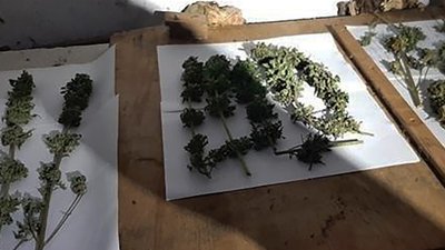 У Запоріжжі поліцейські викрили двох містян, які зберігали зброю та наркотики У Запоріжжі поліцейські викрили двох містян, які зберігали зброю та наркотики