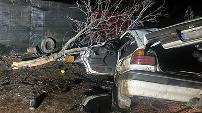 ДТП, аварія, смерть, поліція, алкоголь, пасажир, водій, Житомир ДТП, аварія, смерть, поліція, алкоголь, пасажир, водій, Житомир