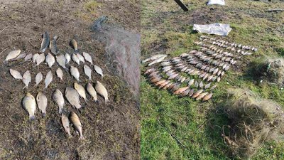 Наловили риби на понад 300 тисяч гривень: на Чернігівщині викрили двох жителів прикордоння