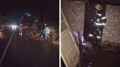 Повалені дерева та підтоплені будинки: на Закарпатті ліквідовували наслідки негоди