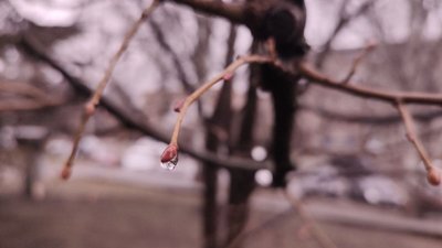 Погода в Запоріжжі 5 травня