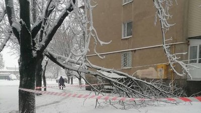 На Одещині через снігопад знеструмленим залишається 51 населений пункт