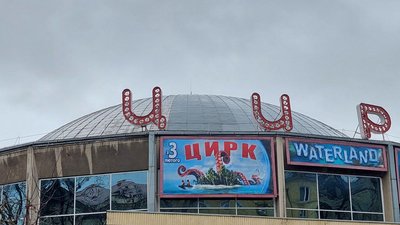 Жодних законів цирк не порушив: у Львові відбулася циркова вистава за участі морського котика