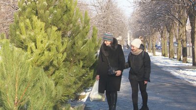 "Дуже важливо, щоб була з чипом". У Кривому Розі розпочали продаж ялинок до новорічних свят