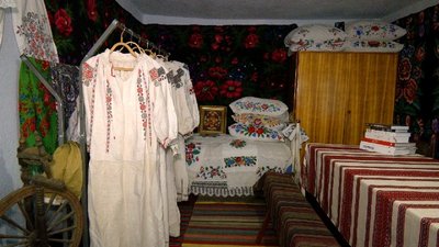 “Пропагую українську культуру”: вінничанка реставрує старі будинки у рідному селі “Пропагую українську культуру”: вінничанка реставрує старі будинки у рідному селі