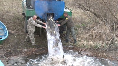 800 кілограмів риби привезли із черкаського розплідника 800 кілограмів риби привезли із черкаського розплідника