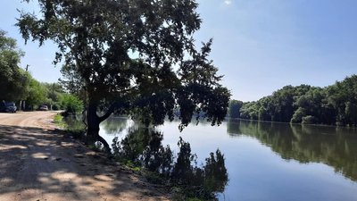 На Одещині вода із заплави річки піднялась до рівня автодороги На Одещині вода із заплави річки піднялась до рівня автодороги