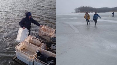 У Дніпрі на Черкащині виявили мор риби У Дніпрі на Черкащині виявили мор риби