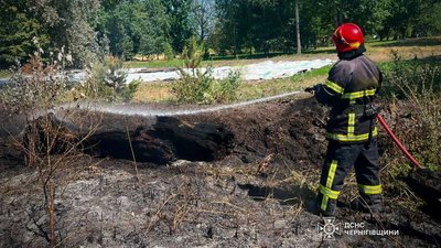 Через пожежі на Чернігівщині: троє людей зазнали опіків, один із чоловіків згодом помер