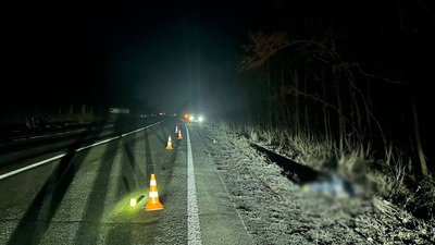 Смертельна ДТП на Черкащині: загинув пішохід Смертельна ДТП на Черкащині: загинув пішохід