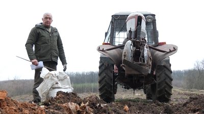 На Черкащині висівають жолуді На Черкащині висівають жолуді