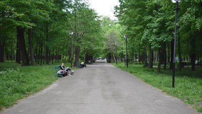 Парк імені Тараса Шевченка у Чернівцях