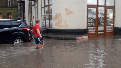 Повалені дерева та зупинка електротранспорту: у Львові скликали оперативний штаб Повалені дерева та зупинка електротранспорту: у Львові скликали оперативний штаб