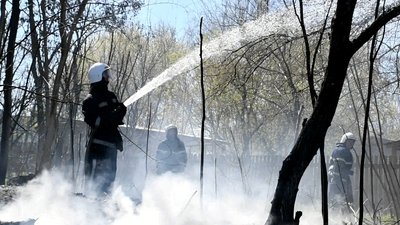 Хвойна підстилка, суха трава, сміття, очерет – рятувальники Миколаївщини 11 разів гасили пожежі