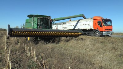 Збір врожай пізні зернові культури Покровськ Донецька область Збір врожай пізні зернові культури Покровськ Донецька область