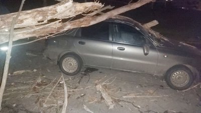 Повалені дерева на дорогах та лініях електропередач: наслідки негоди у Харкові Повалені дерева на дорогах та лініях електропередач: наслідки негоди у Харкові
