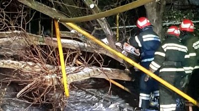 Повалені дерева, пожежі та застряглі авто. У ДСНС розповіли про наслідки негоди на Одещині Повалені дерева, пожежі та застряглі авто. У ДСНС розповіли про наслідки негоди на Одещині