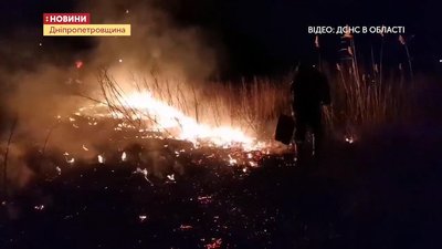 «Птахи вже сюди не прилетять». На Дніпропетровщині цьогоріч згоріло 1300 га території лісгоспів «Птахи вже сюди не прилетять». На Дніпропетровщині цьогоріч згоріло 1300 га території лісгоспів