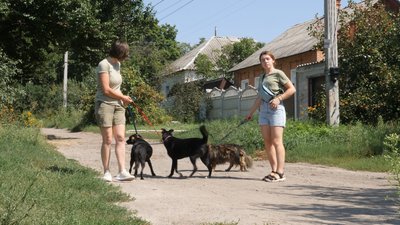 Харківські волонтери евакуюють з лінії зіткнення покинутих тварин