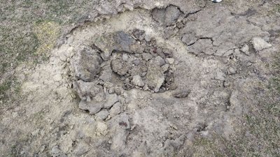 Пошкоджені бігові доріжки, адмінбудівля, поле – фоторепортаж зі стадіону в Тростянці Пошкоджені бігові доріжки, адмінбудівля, поле – фоторепортаж зі стадіону в Тростянці