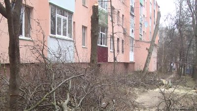 Чи законно зрізали дерева по вулиці Порика 15 у Вінниці з'ясовували патрульні