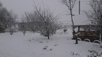 Перший сніг на Сумщині: фоторепортажіз соцмереж
