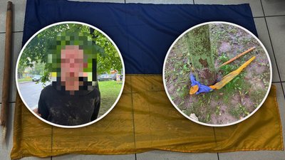 У Рівному чоловік здійснив наругу над державним прапором. Що відомо про інцидент
