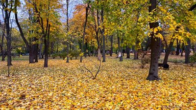 Осінь у Кропивницькому