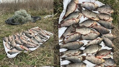 рибпатруль, вилучена риба, нерест, Дніпропетровщина