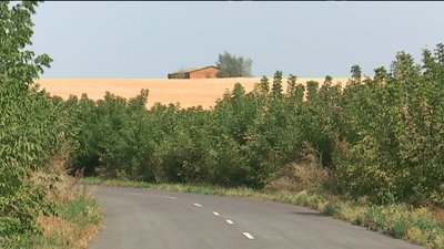 На Сумщині оголосили тендер на утилізацію 12 тон отрутохімікатів