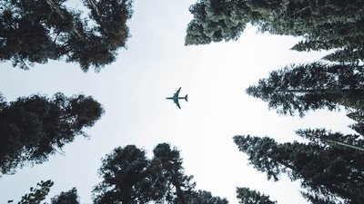 Під час війни навчальних тривог не може бути: міська голова Умані розповіла про сирени