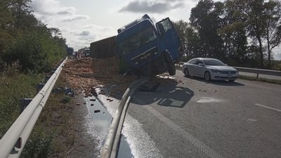 На Житомирщині дві ДТП – поліція попереджає про ускладнення руху