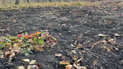 На Полтавщині уклали майже 10 тисяч земельних угод