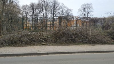 Висаджують квіти та зрізають гілля дерев: у Луцьку комунальники працюють над благоустроєм міста Висаджують квіти та зрізають гілля дерев: у Луцьку комунальники працюють над благоустроєм міста