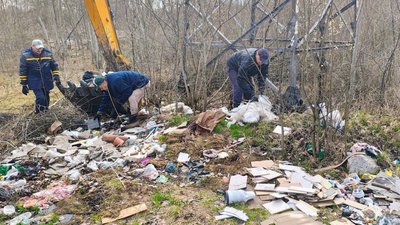 Толока у Києві
