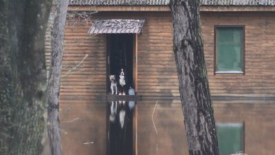 Село на Черкащині підтоплює. Які прогнози та чи буде примусова евакуація Село на Черкащині підтоплює. Які прогнози та чи буде примусова евакуація