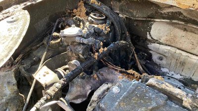 У центрі Житомира загорівся автомобіль