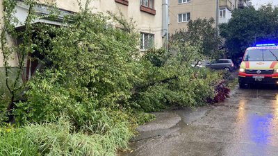 Підтоплені будинки, повалені дерева. Рятувальники ліквідовують наслідки негоди на Прикарпатті Підтоплені будинки, повалені дерева. Рятувальники ліквідовують наслідки негоди на Прикарпатті