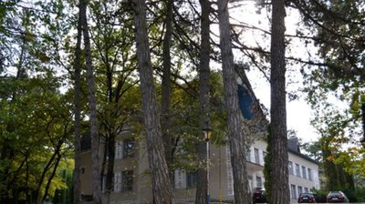 Пансіонат "Лісова пісня" Пансіонат "Лісова пісня"