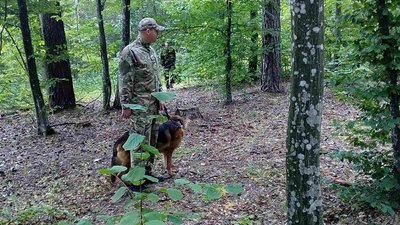 Тиждень пошуків: на Рівненщині у лісі зник дідусь Тиждень пошуків: на Рівненщині у лісі зник дідусь