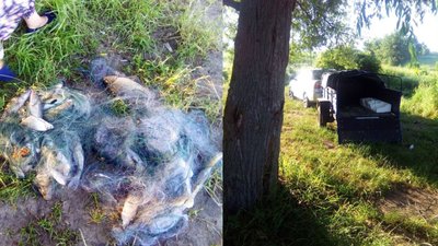На Черкащині спіймали подружжя браконьєрів На Черкащині спіймали подружжя браконьєрів