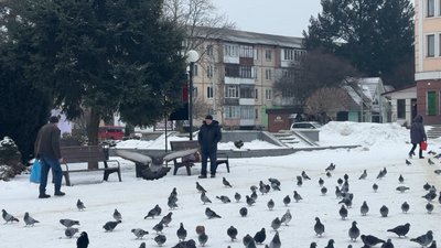 Бурштин, голуби, площа, люди