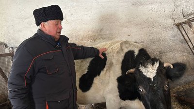 85-річний чоловік з села Шнирів з Львівщини 22 роки на пенсії, але досі працює ветлікарем 